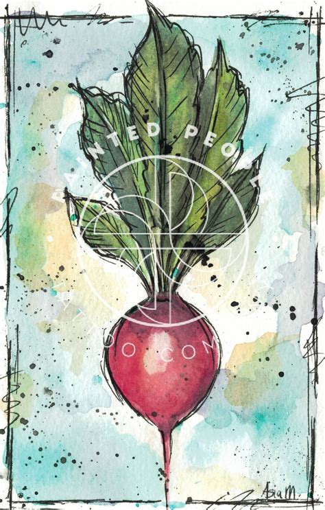 Radish Art Print