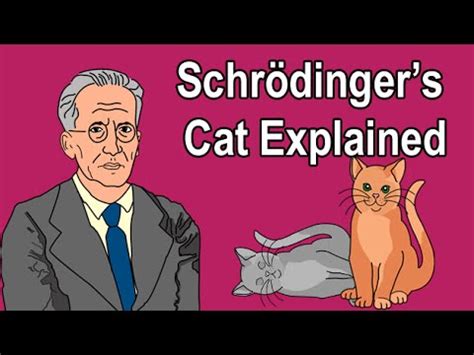 SCHRÖDINGER'S CAT EXPLAINED | Schrodinger's Cat | Know Your Meme