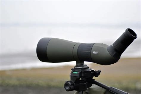 Top 6 Budget-Friendly Spotting Scopes For Bird Watching – Birding Outdoors