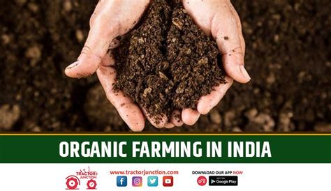 What is Organic Farming in India - Types, Methods & Advantages