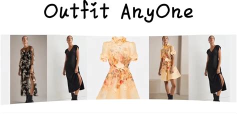 What is And How to Use Outfit Anyone： Virtual Fashion Try-Ons