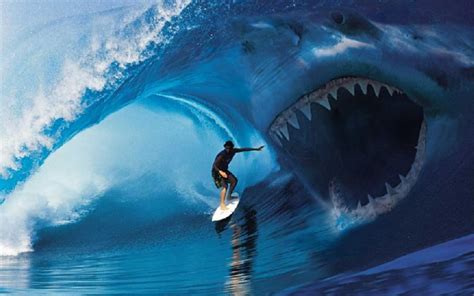 Cool Shark Wallpapers - Wallpaper Cave