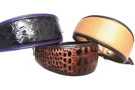 Greyhound collars - Padded soft leather collars for greyhounds