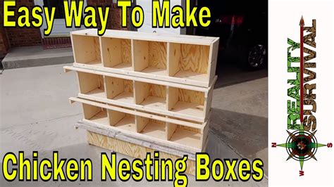 Chicken Coop Build: Easy Chicken Nesting Box Dimensions