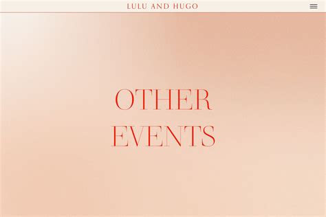 Great Wedding Websites - Check out the Lulu Design at B&B