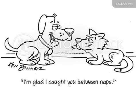 Cat-nap Cartoons and Comics - funny pictures from CartoonStock