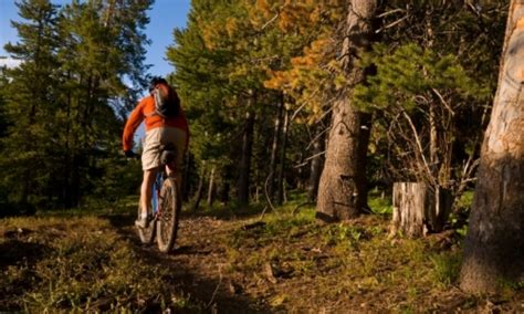 Rocky Mountain Mountain Biking, Colorado Bike Rentals & Tours - AllTrips