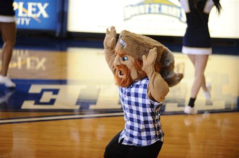 17 Best images about College Mascots: Northeast on Pinterest | Bulldog mascot, Shirt ideas and ...