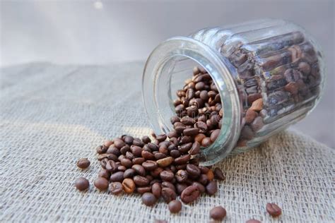 Roasted Grains of Natural Aromatic Coffee Stock Photo - Image of piece ...