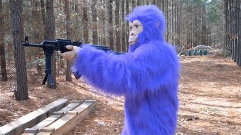 Monkey with AK-47 - YouTube