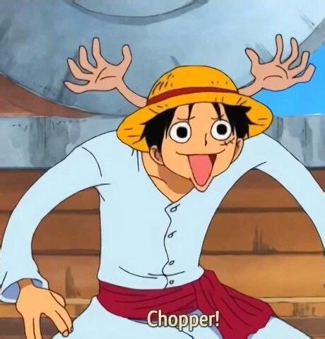 Luffy as Chopper :D One Piece アニメ, One Piece Meme, One Piece Crew, One Piece Funny, One Piece ...