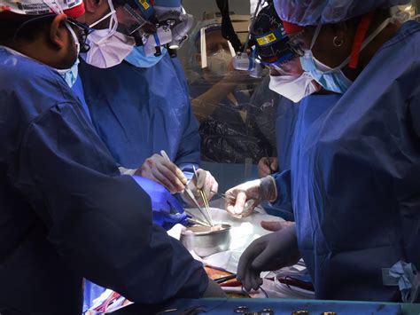 Recipient of first pig-heart transplant dies 2 months after surgery | LaptrinhX