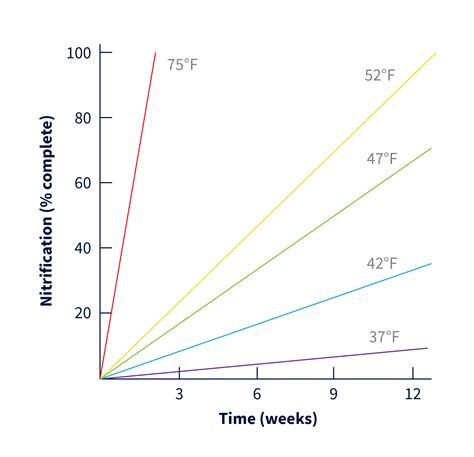 The Nitrification Process — MicroSource, LLC