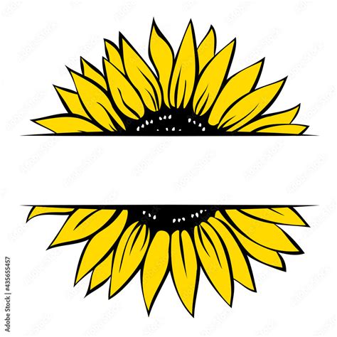 Sunflower monogram template, split sunflower, hand drawn vector ...