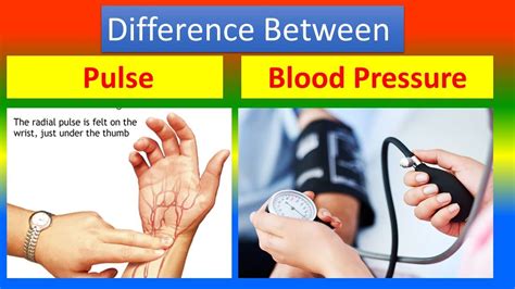 Difference between Pulse and Blood pressure - YouTube