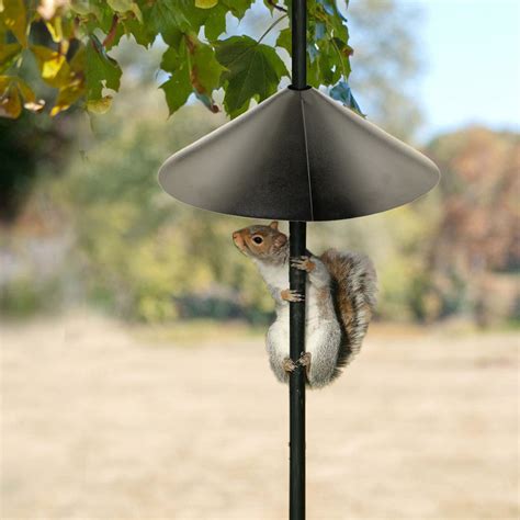 Beautiful Backyard Bird Feeders Small Birds Will Love