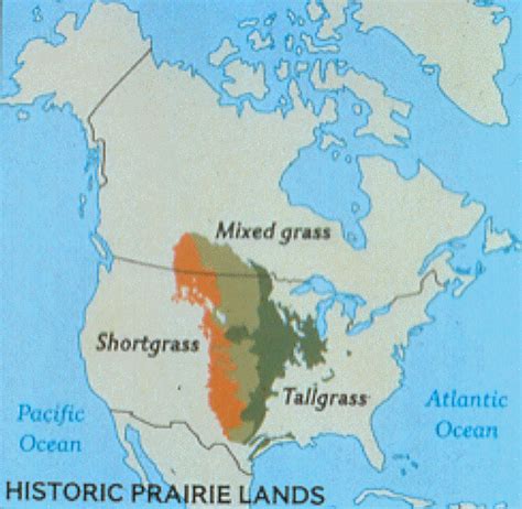 Soil Carbon Sequestration and Age in the Historic Grasslands