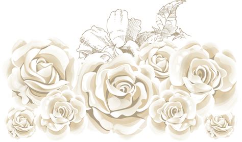 Rose White Clip art - Beautiful White Rose Bud PNG Clipart Image ...