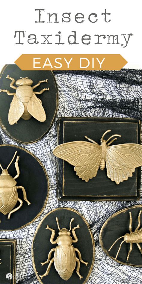 Faux Insect Taxidermy - Today's Creative Life