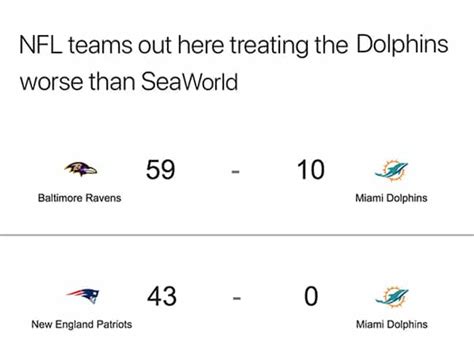 The 25 Funniest Miami Dolphins Memes, Ranked