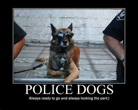 Police Canine Quotes. QuotesGram