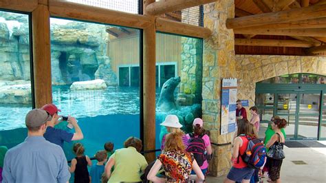 Kansas City Zoo in Kansas City, Missouri | Expedia