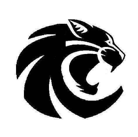 wildcat design by lareeasia on DeviantArt