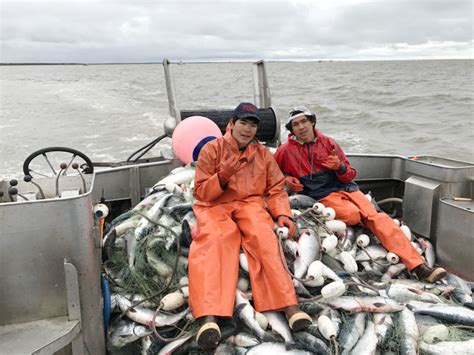 Bristol Bay Salmon Fishing: Man of Salmon - Fish Alaska Magazine