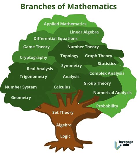 Main Branches of Mathematics Tree | PDF | Pure & Applied | Leverage Edu