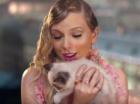 How Taylor Swift Adopted a New Cat – Cat Daily News