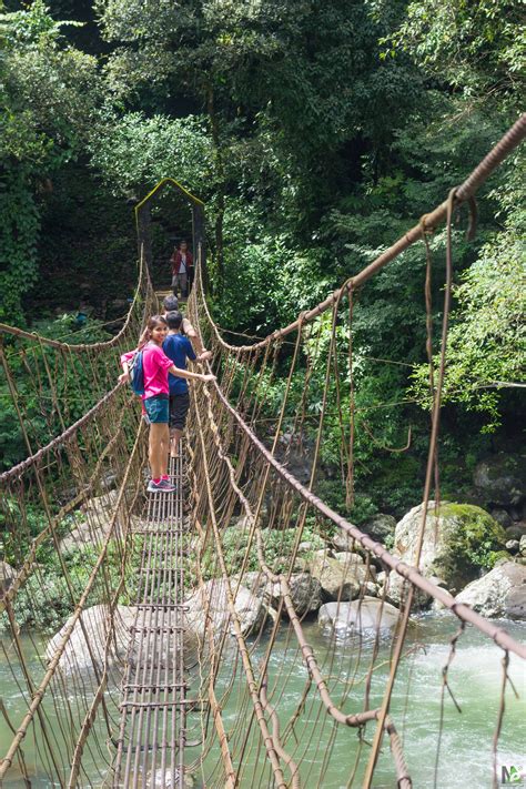 Weekend Trek To The Double-decker Living Root Bridge Trek, Nongriat