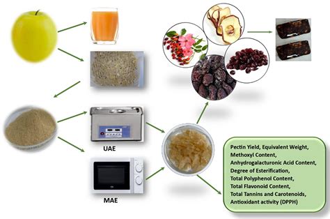 Ultrasound- and Microwave-Assisted Extraction of Pectin from Apple Pomace and Its Effect on the ...