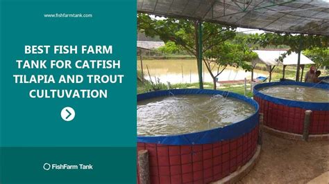 Sale Fish Farm Tank for Catfish Tilapia and Trout Cultivation | Farm tanks, Fish farming, Tilapia