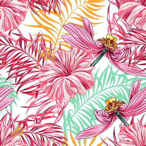 Pink Hibiscus Wallpaper – Lovecup.com