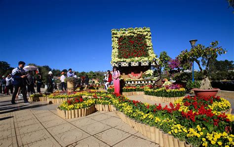 Brilliant colors at the 2015 Dalat flower festival