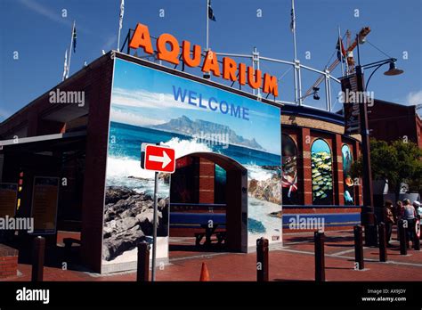 entrance to the two oceans aquarium at the v&a waterfront cape town ...