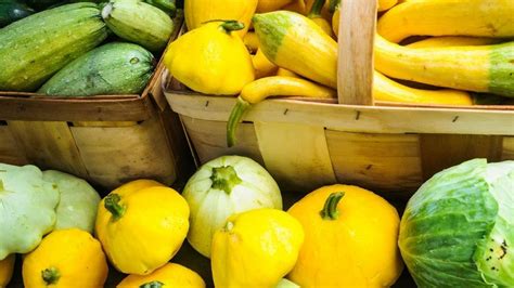 10 Tips On How To Grow The Best Summer Squash