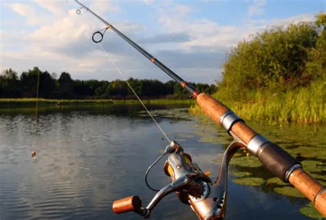 Different Types Of Fishing Rods & Poles (How to Choose The Best)