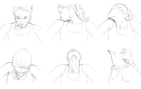 Female Neck Drawing Reference ~ Helpyoudraw: Neck Reference Updated By ...