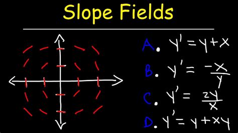 Slope Fields | Calculus - YouTube