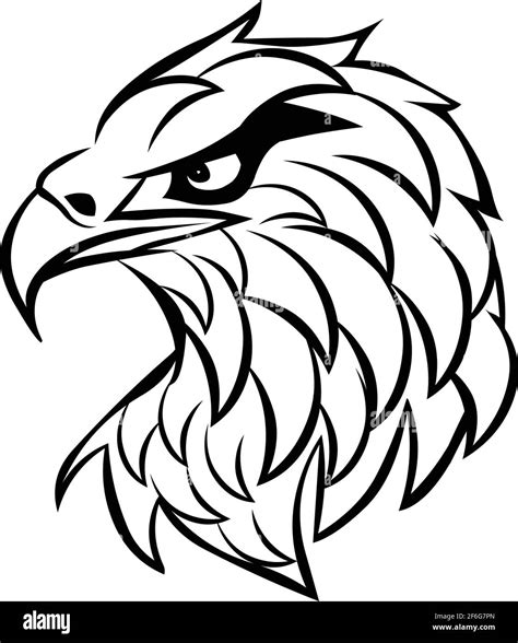 Eagle Face Tattoo logo icon vector illustration isolated on white ...