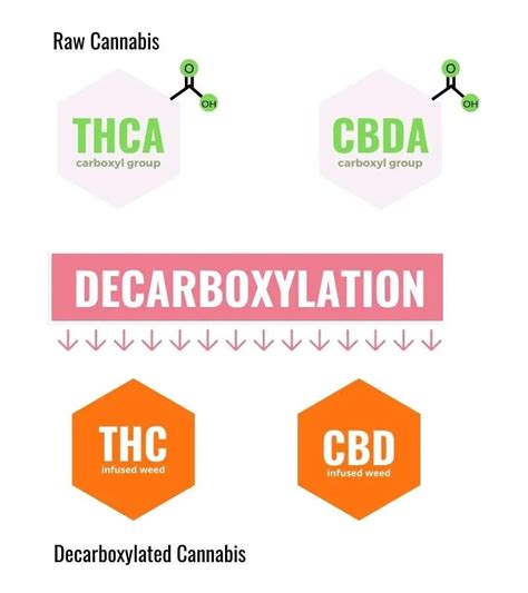 How To Decarboxylate Weed? Decarboxylated vs Raw Cannabis