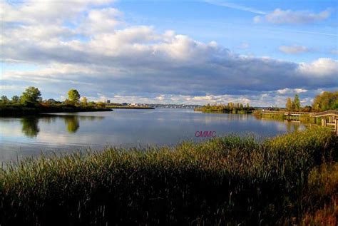 Muskegon Lake Nature Preserve; Muskegon, MI | Muskegon state park ...