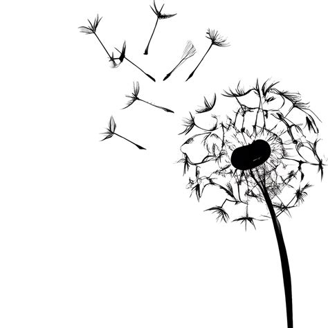 Dandelion Blowing Drawing · Creative Fabrica