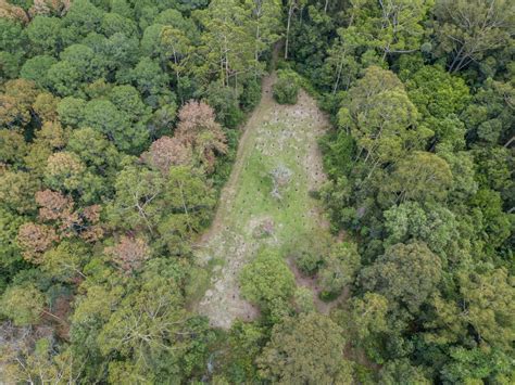 Koala Habitat Restoration Partnerships Program - Queensland Trust For ...