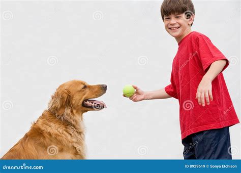 Boy Playing Catch With Dog Royalty Free Stock Images - Image: 8929619