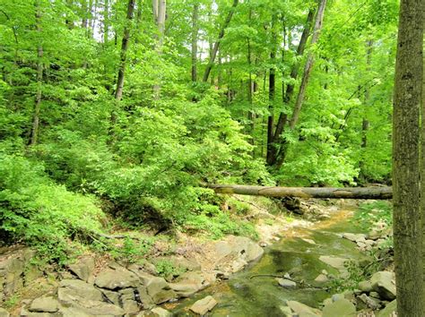 Arlington VA Parks - Long Branch Nature Center