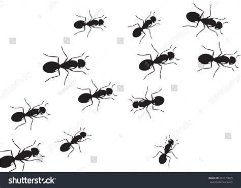 Swarm Ants Black White Color Stock Vector (Royalty Free) 201120839