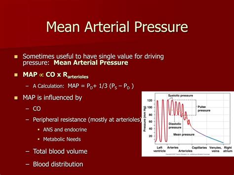 PPT - Blood Pressure PowerPoint Presentation, free download - ID:3093490