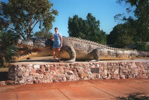 Krys - the salt water croc was shot in 1957 on the banks of the Norman ...